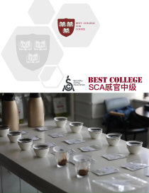 SCA感官中级