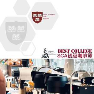 SCA初级咖啡师