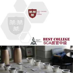 SCA感官中级