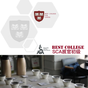 SCA感官初级