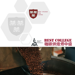 SCA咖啡烘焙师中级