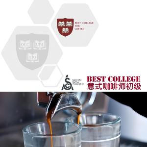 SCA意式咖啡师初级