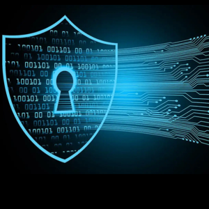 贝斯特隐私权保护声明